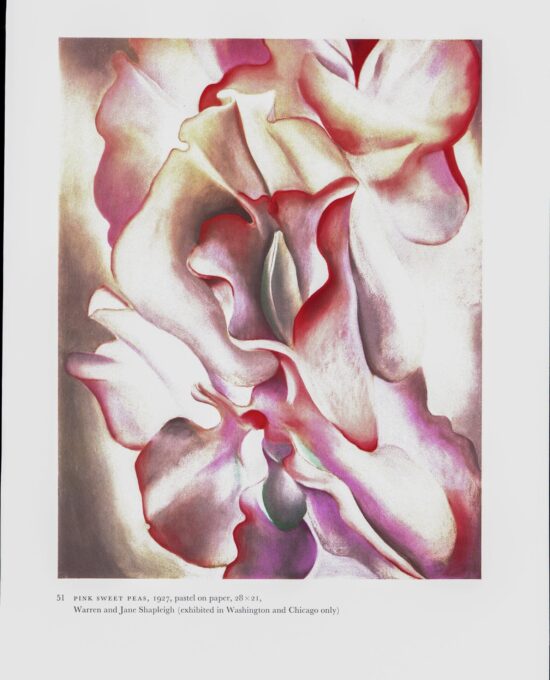 Georgia O’Keeffe vintage art book plate 1926/7 “Closed Clam Shell / Pink Sweet Peas” Housewarming gift