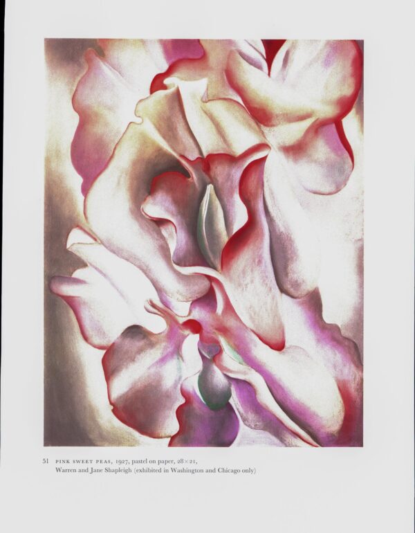 Georgia O'Keeffe vintage art book plate 1926/7 "Closed Clam Shell / Pink Sweet Peas" Housewarming gift