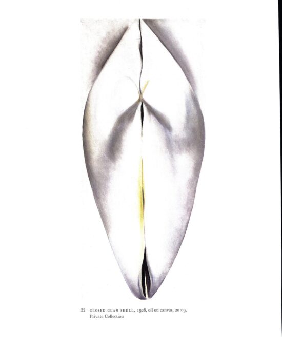 Georgia O’Keeffe vintage art book plate 1926/7 “Closed Clam Shell / Pink Sweet Peas” Housewarming gift
