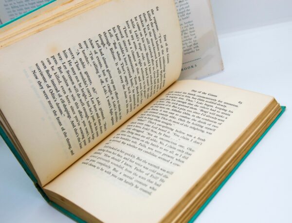Lester Del Ray "Day of the Giants" First edition 1959 Vintage cloth wrapped hardcover - Image 7