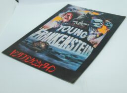 Young Frankenstein Cinema theater program Japanese language 1974 vintage souvenir 4 full-color pages