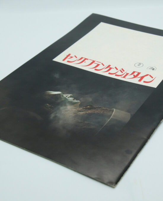 Young Frankenstein Cinema theater program Japanese language 1974 vintage souvenir 4 full-color pages