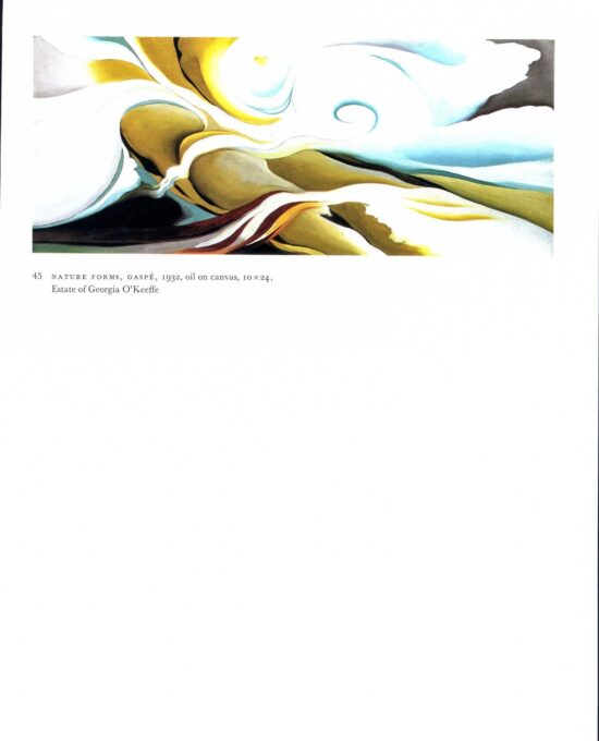 Georgia O’Keeffe vintage art book plate 1932/34 “Nature Forms, Gaspe / Special No. 40” For the studio