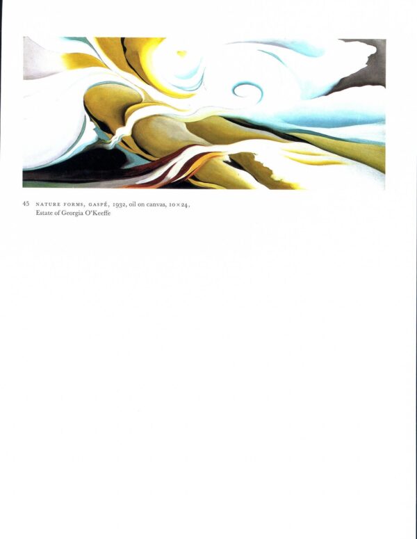 Georgia O'Keeffe vintage art book plate 1932/34 "Nature Forms, Gaspe / Special No. 40" For the studio