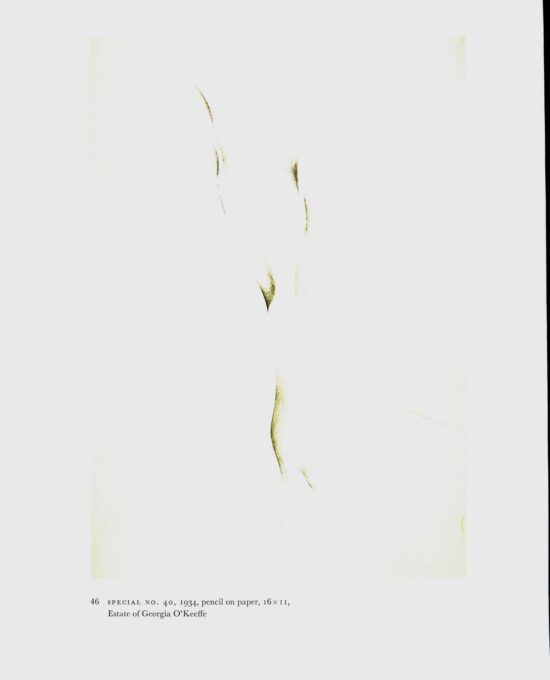 Georgia O’Keeffe vintage art book plate 1932/34 “Nature Forms, Gaspe / Special No. 40” For the studio