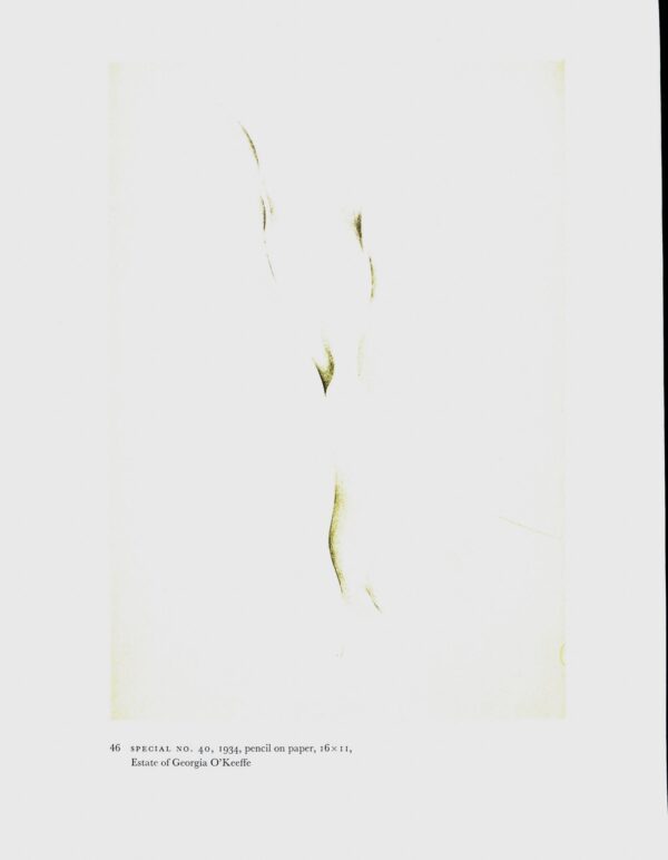 Georgia O'Keeffe vintage art book plate 1932/34 "Nature Forms, Gaspe / Special No. 40" For the studio - Image 2