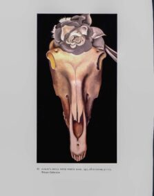 Georgia O'Keeffe vintage print 1930/1 "Horse's Skull with White Rose / Jack in the Pulpit No. V" For the summer home