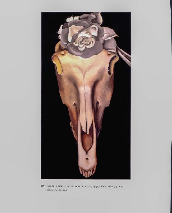 Georgia O’Keeffe vintage print 1930/1 “Horse’s Skull with White Rose / Jack in the Pulpit No. V” For the summer home