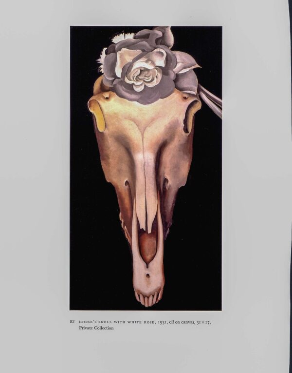 Georgia O'Keeffe vintage print 1930/1 "Horse's Skull with White Rose / Jack in the Pulpit No. V" For the summer home