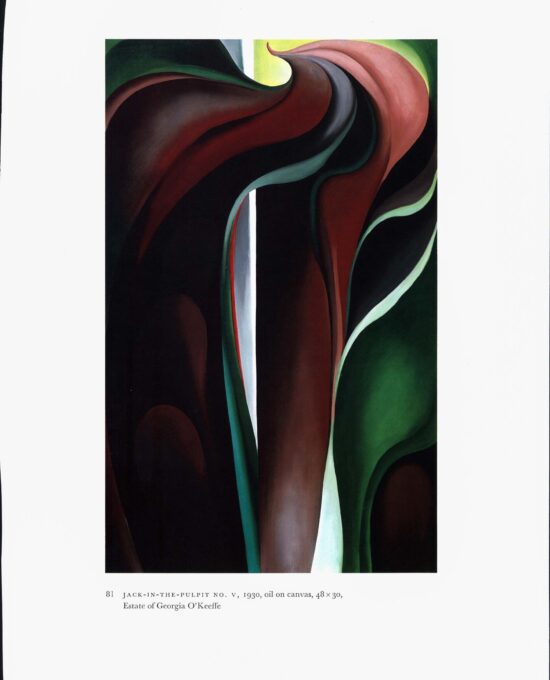 Georgia O’Keeffe vintage print 1930/1 “Horse’s Skull with White Rose / Jack in the Pulpit No. V” For the summer home