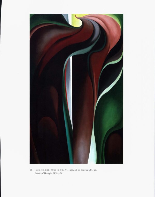 Georgia O'Keeffe vintage print 1930/1 "Horse's Skull with White Rose / Jack in the Pulpit No. V" For the summer home - Image 2