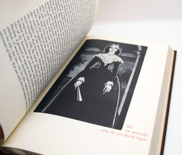 Tales of Mystery & Imagination Edgar Allan Poe Decorated leather bound vintage book c.1975 Illustrated - Image 9