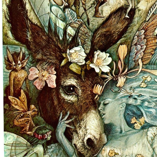 Brian Froud Proposed cover art for "A Midsummer's Nights Dream" / "Spire" Two-sided Vintage art book page 1973/6 FREE SHIPPING
