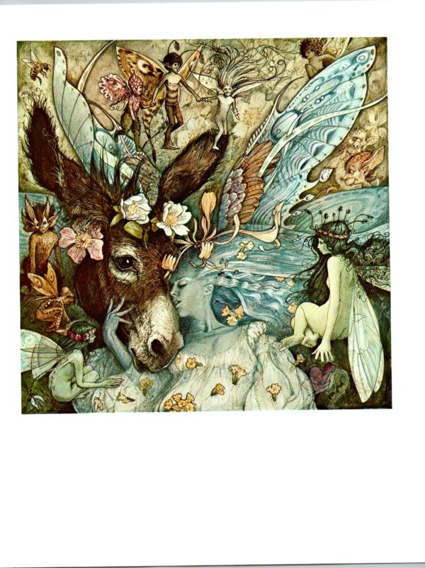 Brian Froud Proposed cover art for "A Midsummer's Nights Dream" / "Spire" Two-sided Vintage art book page 1973/6 FREE SHIPPING - Image 2
