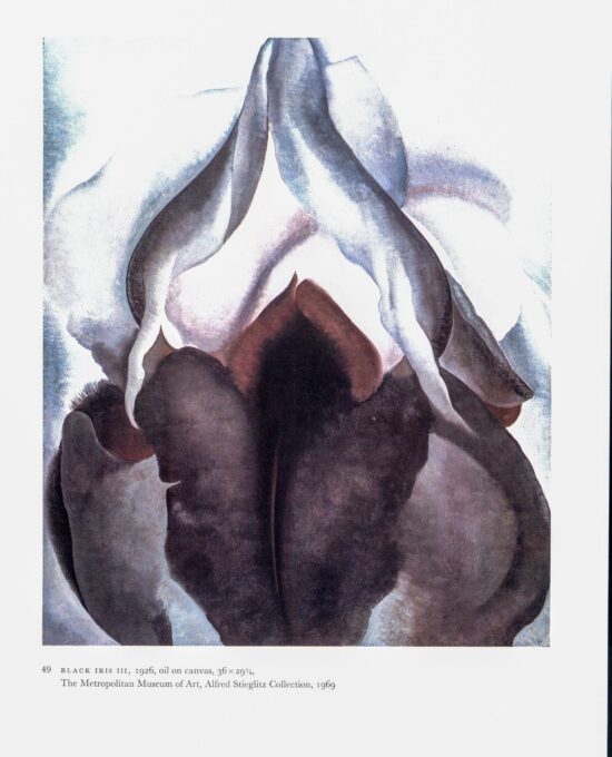 Georgia O’Keeffe vintage art book page 1926 “Black Iris III / White Sweet Peas”