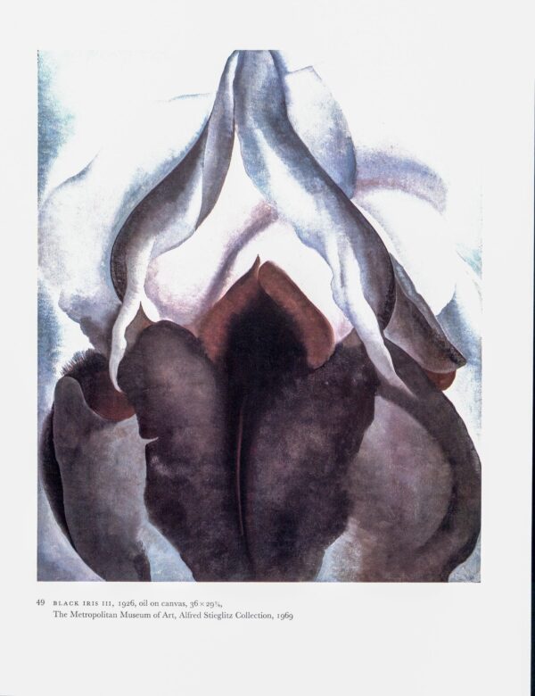 Georgia O'Keeffe vintage art book page 1926 "Black Iris III / White Sweet Peas"