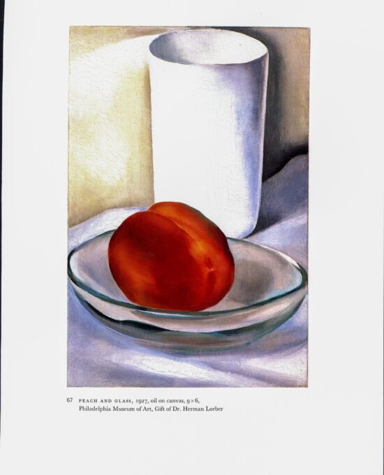 Georgia O’Keeffe vintage art book plate 1927 “Lilly – White with Black / Peach and Glass” For the kitchen