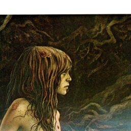 Brian Froud "Undine" Vintage art book page 1976 Dartmoor FREE SHIPPING
