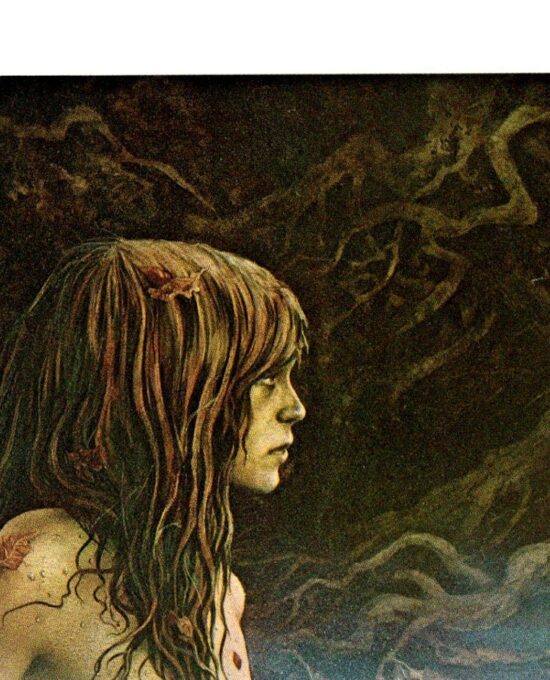 Brian Froud “Undine” Vintage art book page 1976 Dartmoor FREE SHIPPING