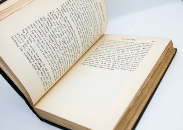 Ellen Glasgow "Barren Ground" First edition 1925 Vintage cloth wrapped hardcover Pulitzer Prize winnning author - Image 8