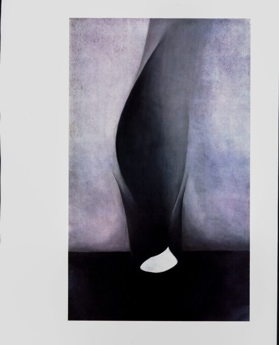 Georgia O’Keeffe print 1926 “Shell and Old Shingle VI” Original vintage color book page