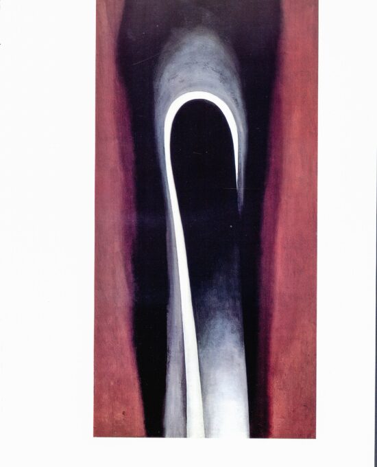 Georgia O’Keeffe print 1930 “Jack-in-the-pulpit VI” Original vintage color book page