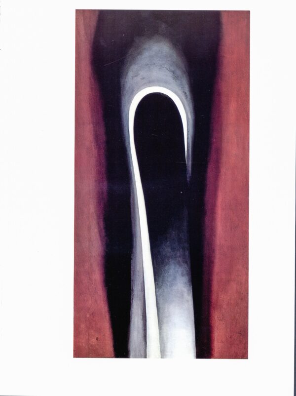 Georgia O'Keeffe print 1930 "Jack-in-the-pulpit VI" Original vintage color book page - Image 2