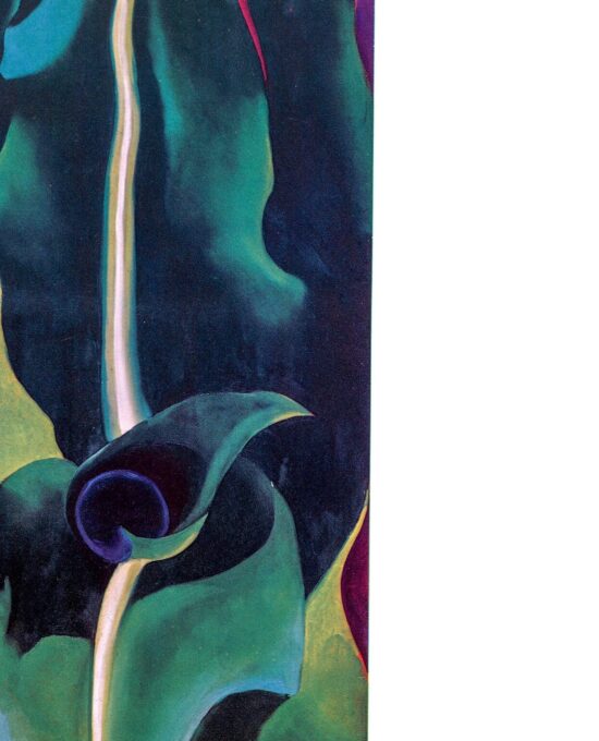 Georgia O’Keeffe print 1924 “Corn, Dark” Original vintage color book page