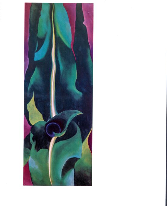 Georgia O’Keeffe print 1924 “Corn, Dark” Original vintage color book page