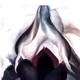 Georgia O'Keeffe print 1926 "Black Iris" Original vintage color book page