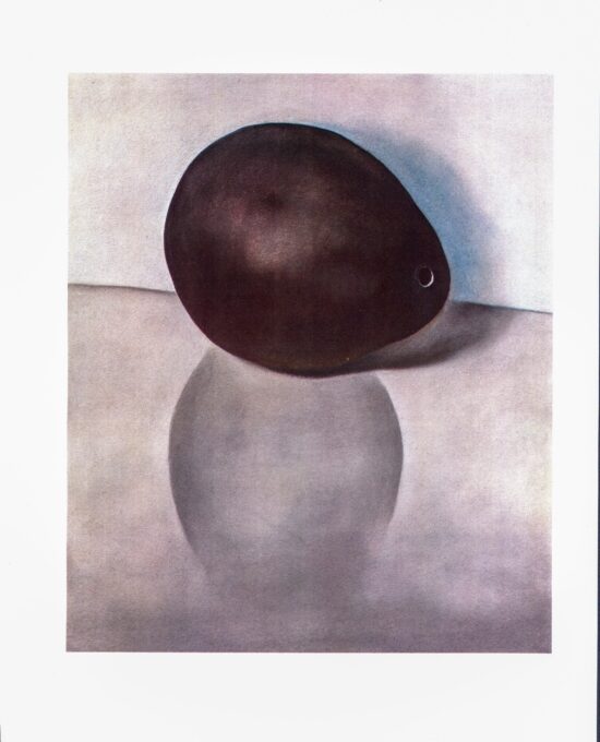 Georgia O’Keeffe print 1922 “Single Alligator Pear” Original vintage color book page