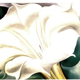 Georgia O'Keeffe print 1932 "White Trumpet Flower" Original vintage color book page