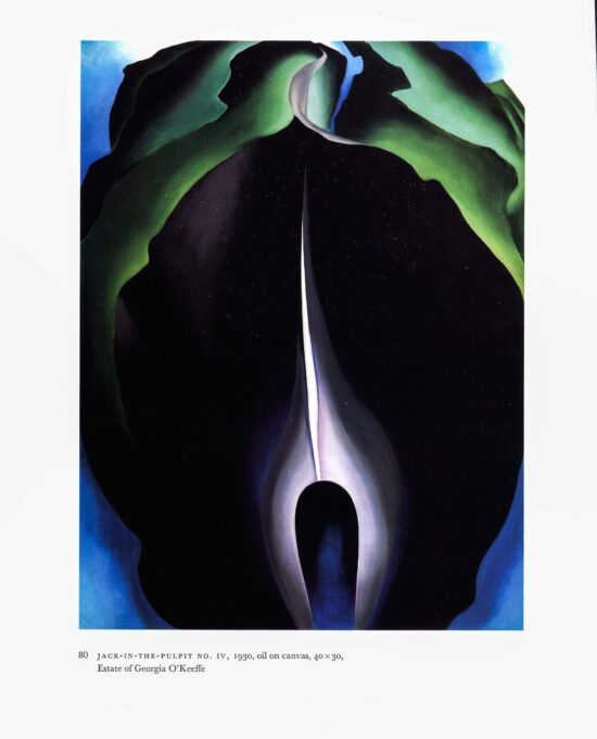 Georgia O’Keeffe vintage art book page [1930] “Jack in the Pulpit No. IV / Jack in the Pulpit No. III “