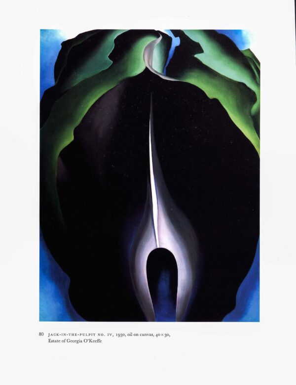 Georgia O'Keeffe vintage art book page [1930] "Jack in the Pulpit No. IV / Jack in the Pulpit No. III "