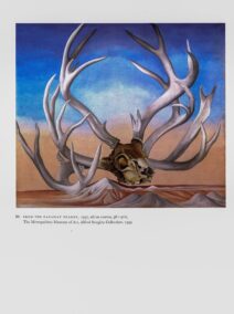 Georgia O'Keeffe vintage print 1937/30 "From the Faraway Nearby / Thigh Bone with Black Stripe" Two-sided vintage book page art