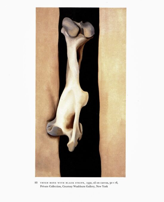 Georgia O’Keeffe vintage print 1937/30 “From the Faraway Nearby / Thigh Bone with Black Stripe” Two-sided vintage book page art
