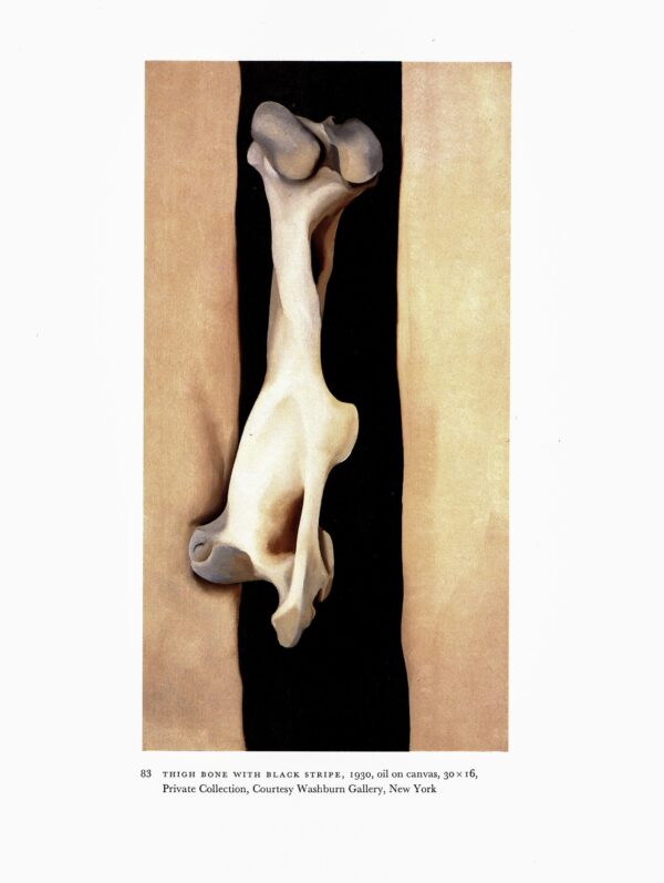 Georgia O'Keeffe vintage print 1937/30 "From the Faraway Nearby / Thigh Bone with Black Stripe" Two-sided vintage book page art - Image 2