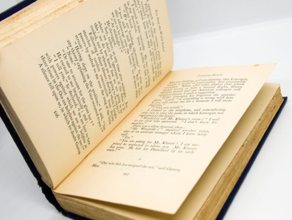 Sax Rohmer "The Day the World Ended" First edition hardcover 1930 Science fiction mystery mash-up with Gaston Max - Image 8