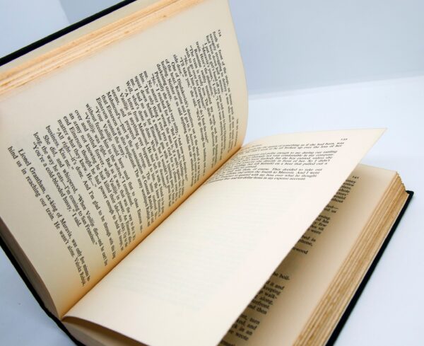 Dashiell Hammett "The Big Knockover" Vintage Continental Op mystery anthology 1966 Vintage cloth-wrapped hardcover in original jacket - Image 6