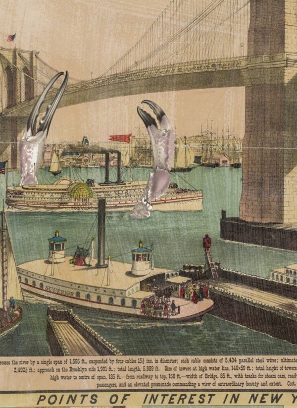 The Great Crab of the East River Suspension Bridge [1883] New York & Brooklyn 13x19 or 17x22" poster
