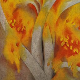 Georgia O'Keeffe print 1925 "White Birch" Original vintage color book page