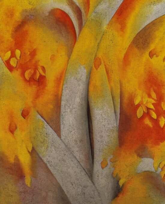 Georgia O’Keeffe print 1925 “White Birch” Original vintage color book page