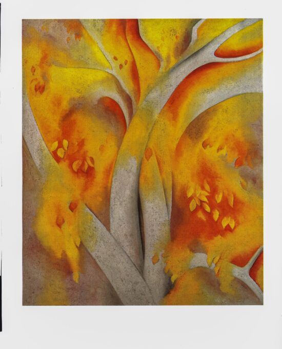 Georgia O’Keeffe print 1925 “White Birch” Original vintage color book page