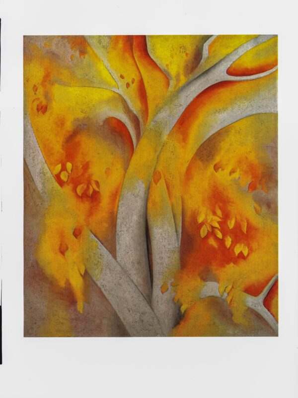 Georgia O'Keeffe print 1925 "White Birch" Original vintage color book page - Image 2