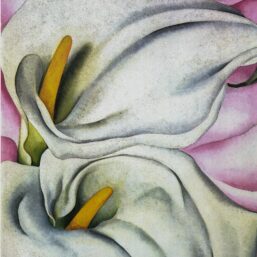 Georgia O'Keeffe print 1928 "Two Calla Lilies" Original vintage color book page