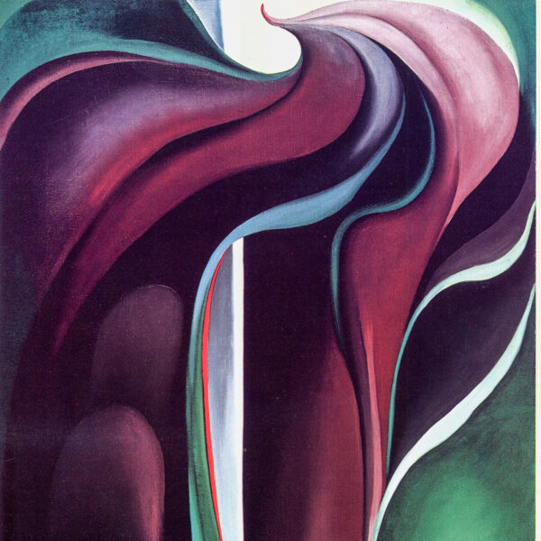 Georgia O'Keeffe print 1930 "Jack-in-the-pulpit V" Original vintage color book page