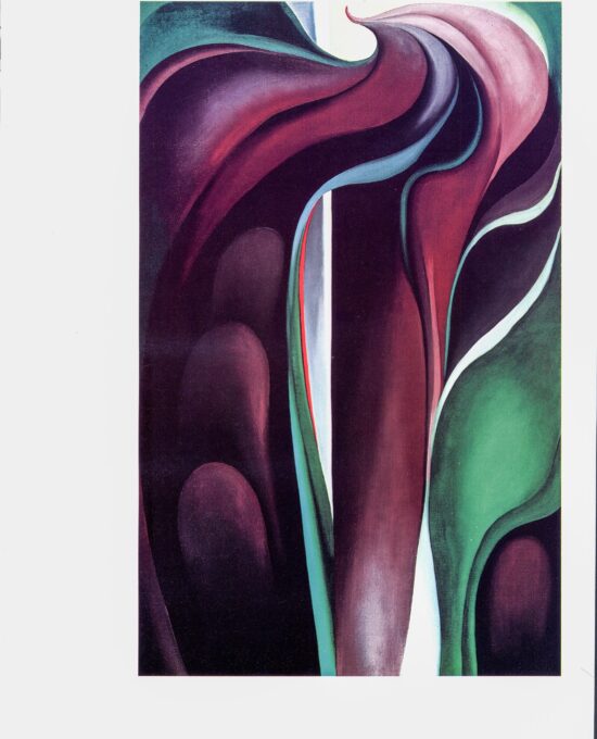 Georgia O’Keeffe print 1930 “Jack-in-the-pulpit V” Original vintage color book page