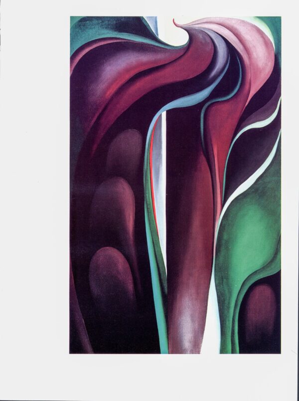 Georgia O'Keeffe print 1930 "Jack-in-the-pulpit V" Original vintage color book page - Image 2