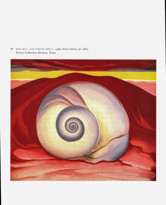 Georgia O’Keeffe vintage print 1938/35 “Red Hill and White Shell / Rib and Jawbone” 2-sided vintage book page art
