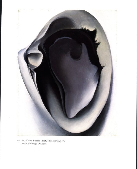 Georgia O’Keeffe vintage art book page [1926] “Clam and Mussel / Slightly Open Shell” For the beach house